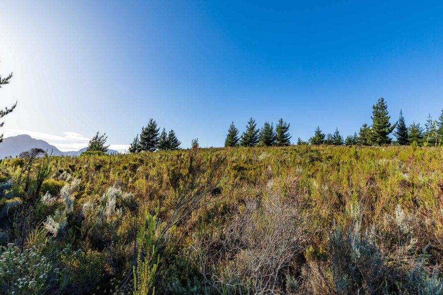 0 Bedroom Property for Sale in Heidelberg Rural Western Cape